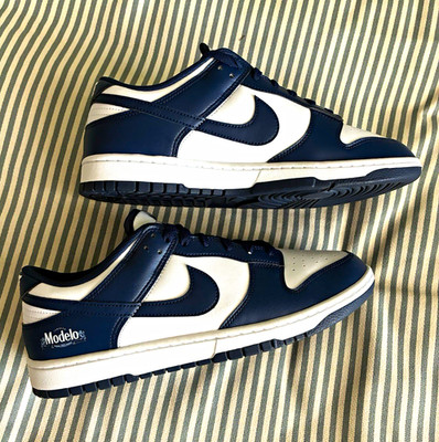 Nike Dunk Low Men's Blue/White Colorblock Low Top Sneaker Customized Modelo