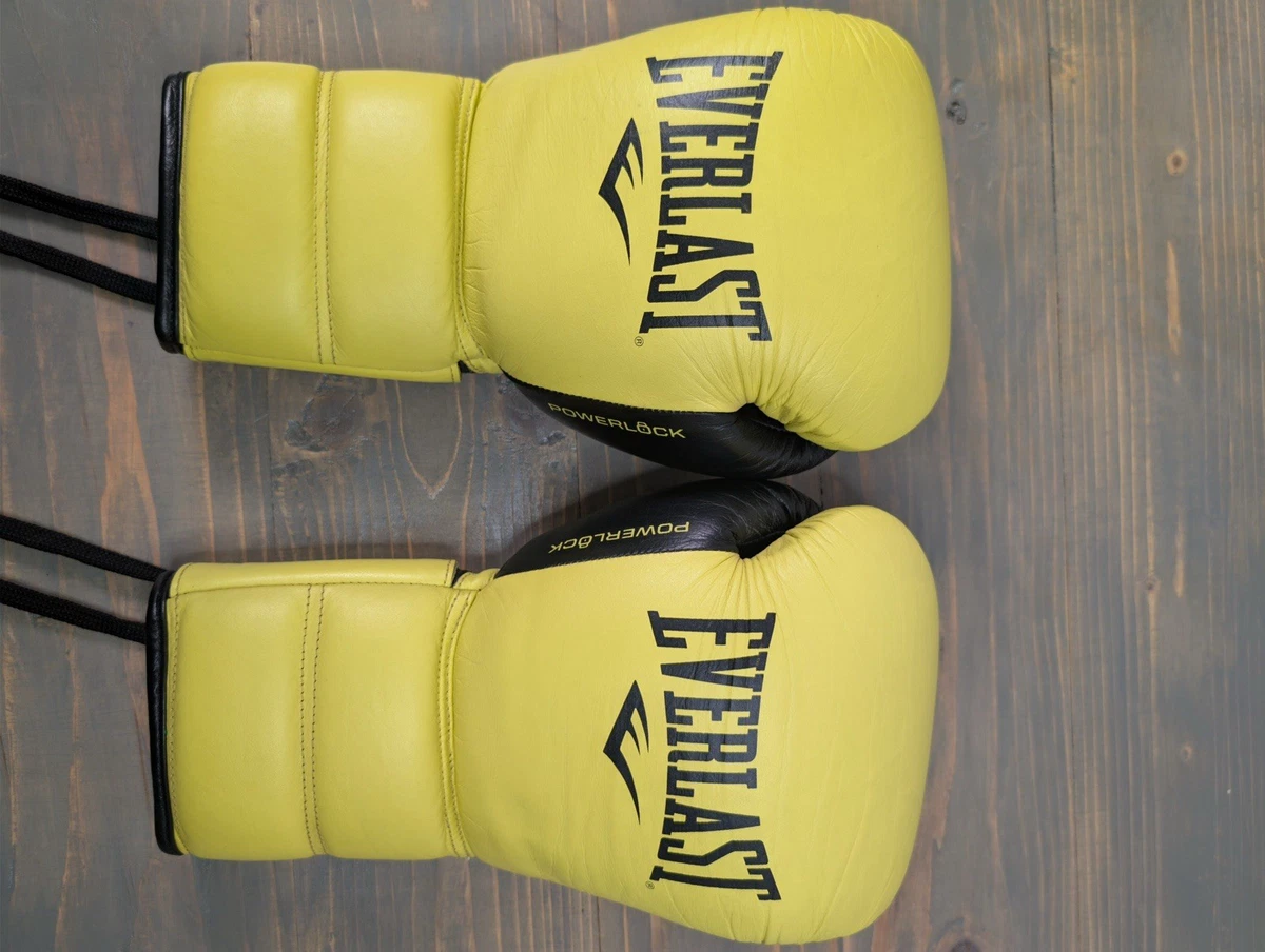 Everlast 16 oz. Weight Adult Unisex Boxing Gloves for sale | eBay