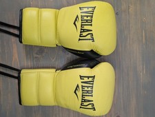 Everlast Powerlock 2 Pro Training Boxing Glov...