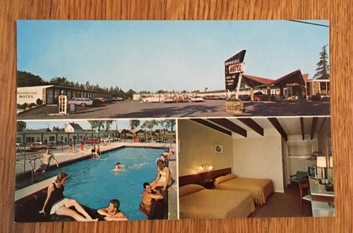 Ellsworth, Maine Brookside Motel Mid-Century Vintage Postcard Roadside America - 第 1/5 張圖片