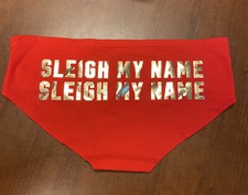 NWT Victoria  s Secret PINK Sleigh My Name Christmas Brief Panties Sz Large Red