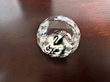 Two New SCS Swarovski Crystal Society Black Swan Prism Faceted Paperweights