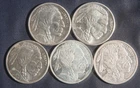 FIVE (5) INDIAN BUFFALO 1 OZ .999 SILVER ROUNDS ( 5 OZ TOTAL)  LOT 201054