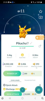 Pokemon Go Shiny Pikachu Rot Schal
