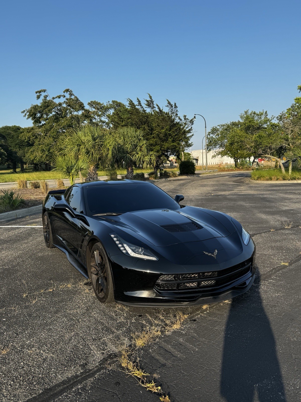 2017 Black Chevrolet Corvette   | C7 Corvette Photo 4