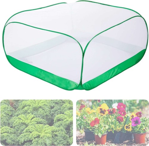 LATERN Pop-up Plant Mesh Cover, 100CM x 100CM x 50CM Garden Insect Netting,