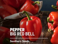 Big Red Sweet Bell Pepper Seeds, Heirloom Easy-Grow Veg, USA Grown