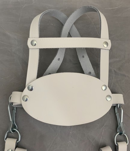 SILBERKREUZ BALMORAL KENSINGTON KINDERWAGEN WEISS OVAL LEDERGESCHIRR ZÜGEL BABY - Bild 3 von 3