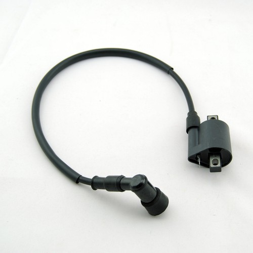 Massimo 125cc Mini Jeep Parts Ignition Coil Fits 50cc 70cc 90cc 125cc 150cc 250cc Chinese Taotao Atv 1115242 - Foto 6
