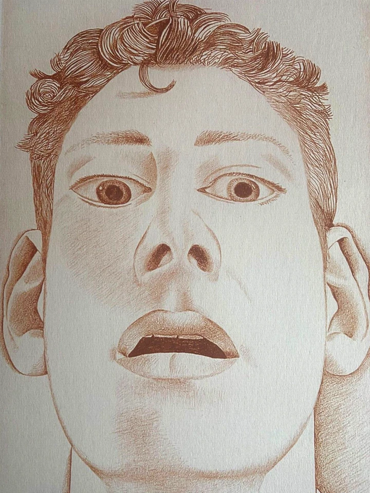 Litografía Lucian Freud certificado de autenticidad original numerada a mano firmada limitada 275ex Foto 3 de 4