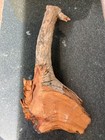Foto 2 di 2