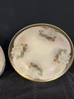 Weimar Hand Painted Small Dishes (5) Made In Germany For F Vorenberg Co. Boston — photo 8