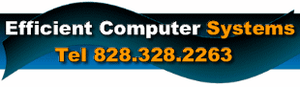 Efficient Computer Systems Inc. | eBay Stores
