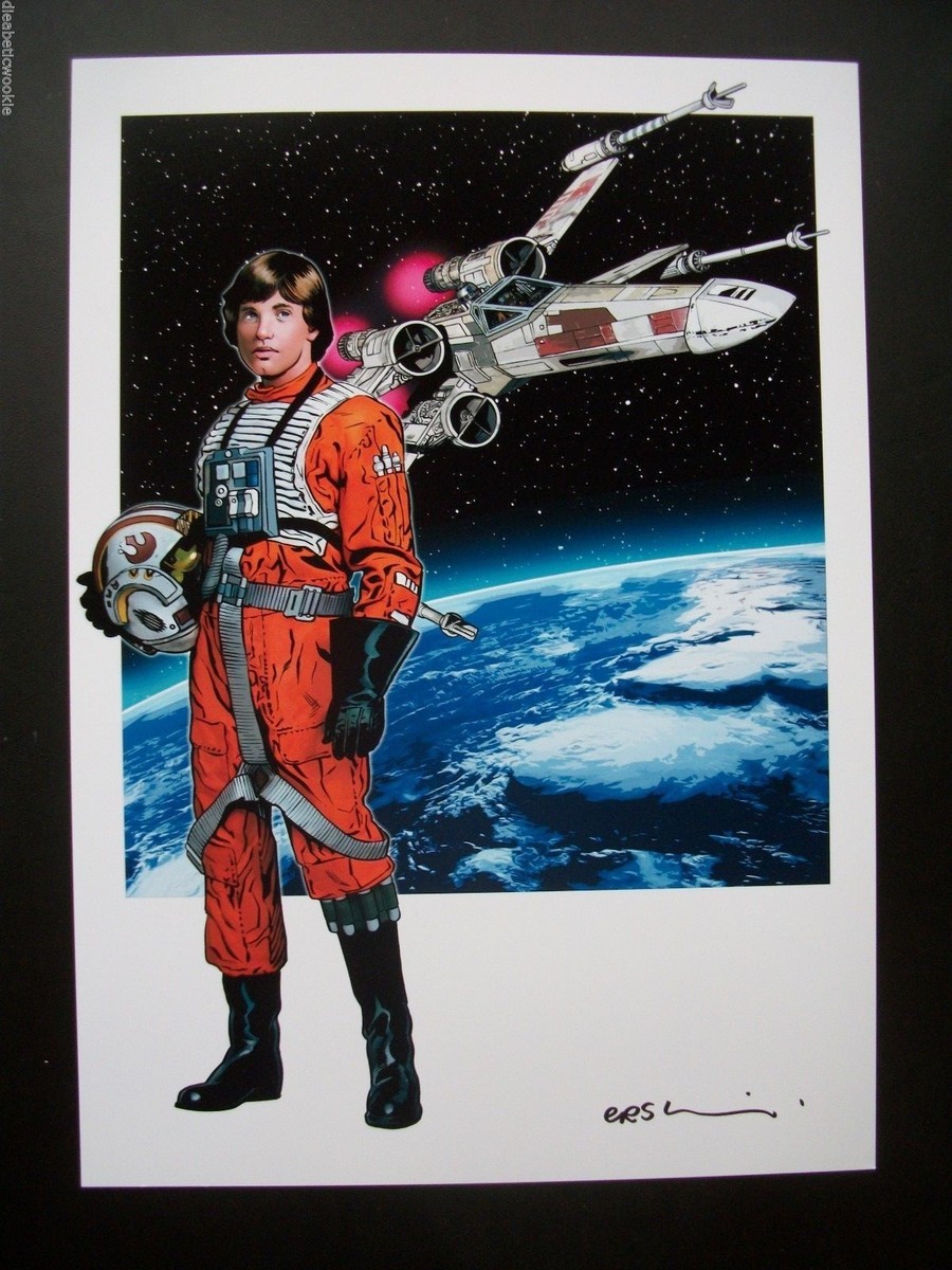 Star Wars Luke Skywalker X-Wing Pilot A New Hope art print movie