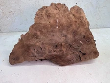 Black Walnut Burl Cap | Live Edge | BW 105