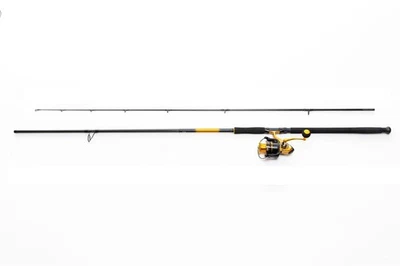 Daiwa Combo Aird Surf 3,66M / 60-120G Ensemble De Canne Et Moulinet De Surf - Photo 1/3