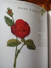 Afbeelding 3 van 7