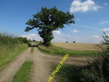 Photo 12x8 Footpath to Great Wilsey Farm Haverhill/TL6645 There are plans c2015