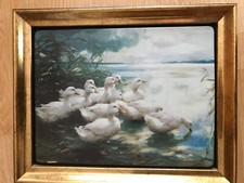 Enten am Seeufer Porzellanbild