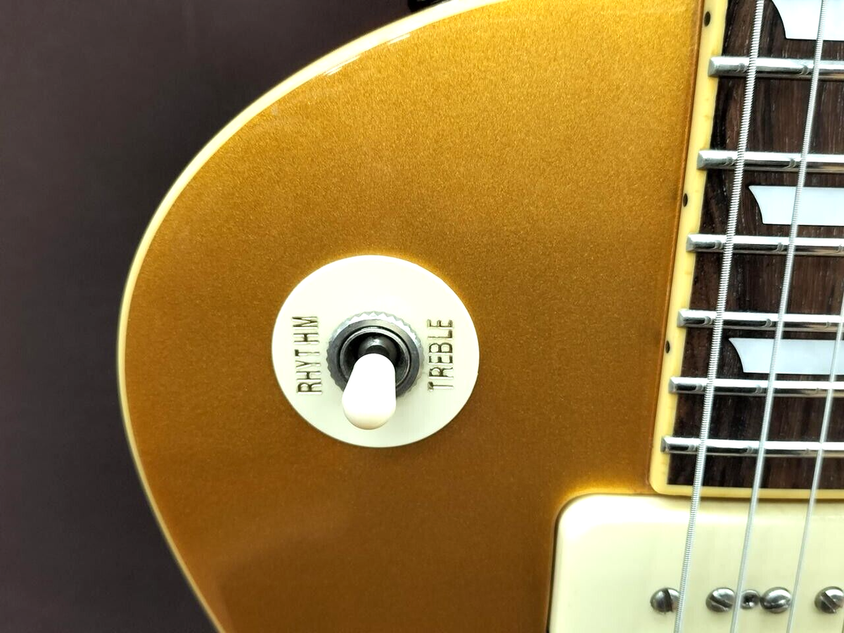 Edwards E-LP-STD/P P90 Gold Top Les Paul type Electric Guitar From