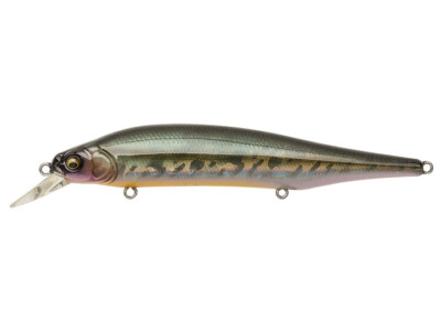 Megabass Ito Shiner - Fish In Golfe - Foto 5