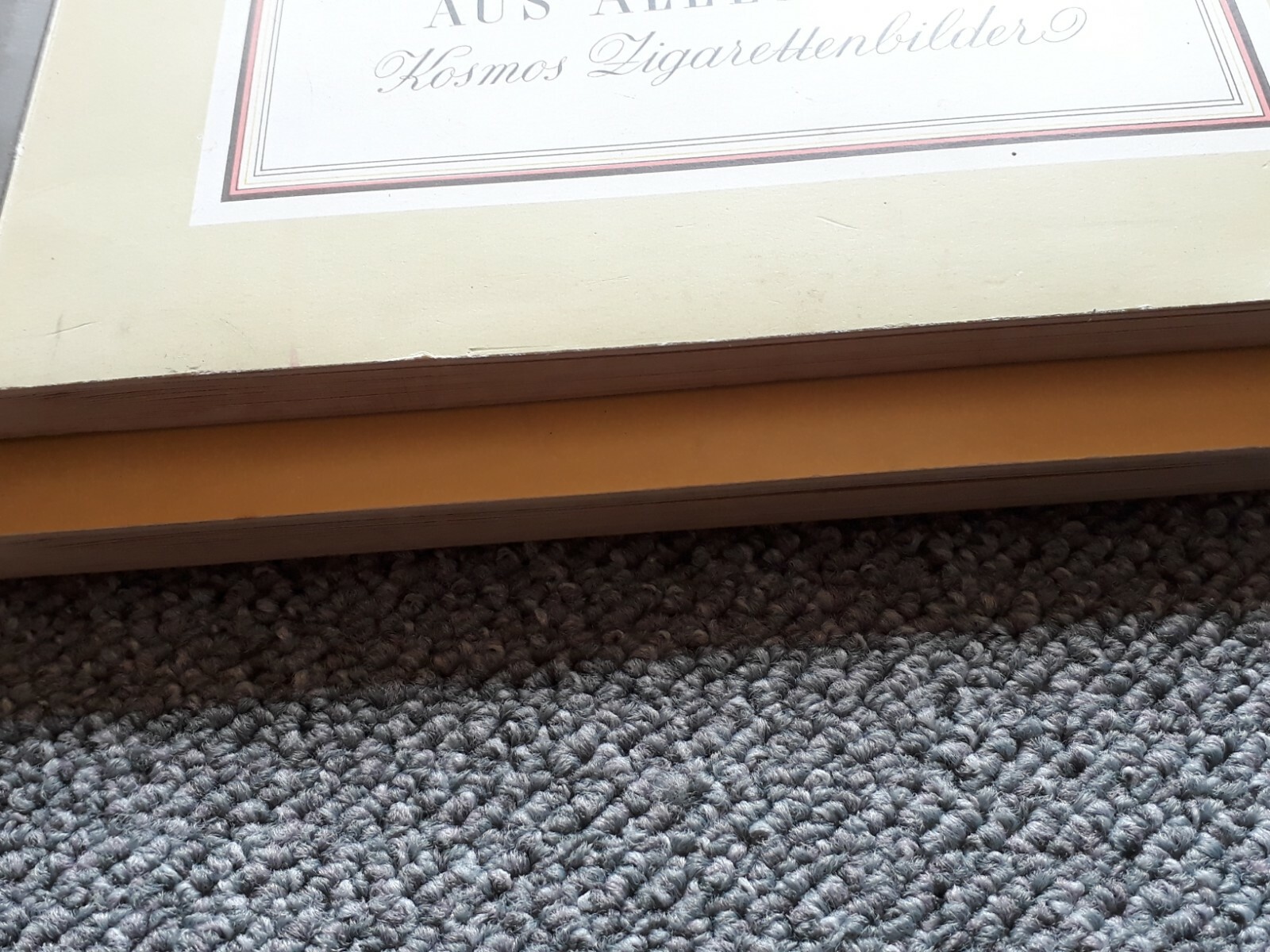 Bild 9 von 12