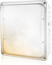 LED Canopy Light 40/60/80/100W Max – 5000K, Dimmable, IP65, Garage Use, Etc.