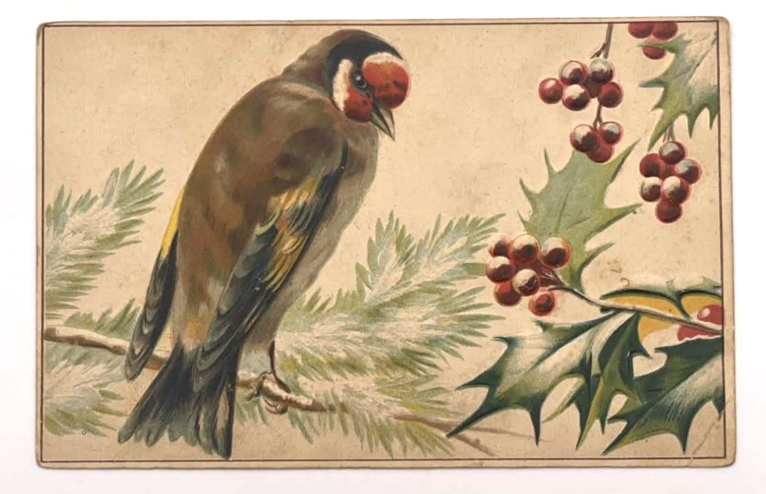 Antique Embossed Bird Holly Berries Germany Winter Scene Postcard