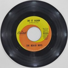 The Beach Boys 7