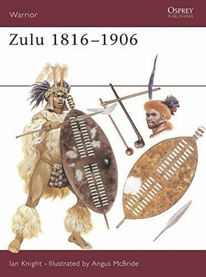 Zulu (Warrior, 14, Band 14) Buch Bloomsbury Publishing PLC