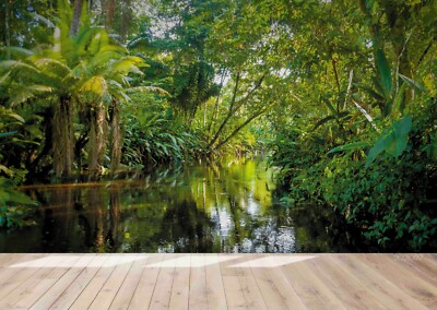 3D Rain Forest River Wallpaper Wall Mural Removable Self-adhesive 3333--JN