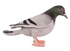 HANSA Pigeon 29 No.6299