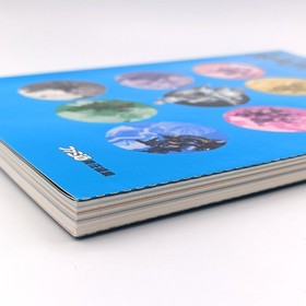 Sakura Wars 2: Thou Shalt Not Die Strategy Guide Book Heaven Vol Sega Saturn SS