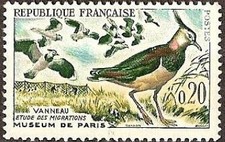 FRANCE N°1273 "OISEAUX, VANNEAUX" NEUF xx TTB