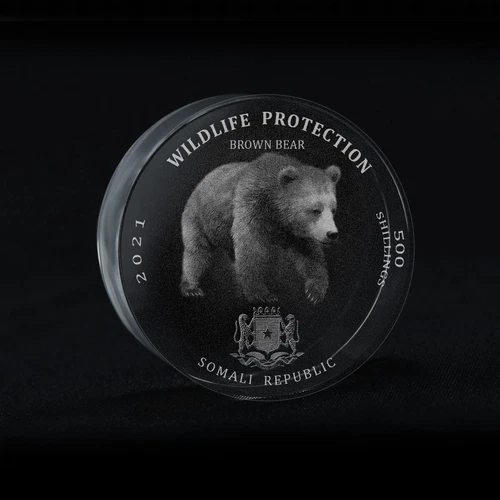 Somali Republic 500 Shillings, Brown Bear, Wildlife 3D Crystal Coin 2021 Somalia