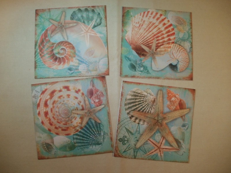 SEA SHELL WORLD  MINI GREETING CARDS WITH ENVELOPES