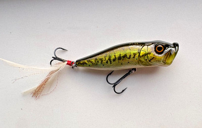 MEGABASS POPX GG BASS 1999 Pop-X Angelköder Wobbler