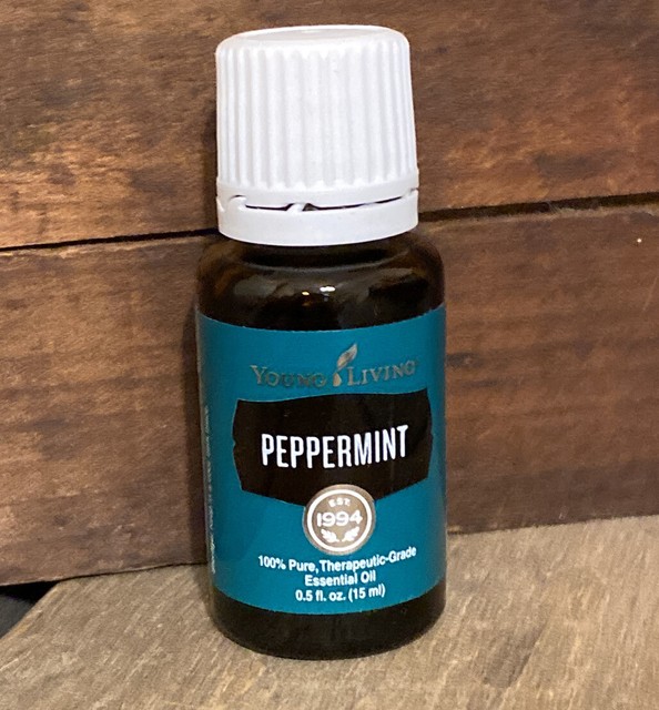 Young Living Essential Oils Peppermint 15ml 3614 eBay