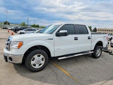 Used Tailgate Fits 2014 Ford F150 Pickup Styleside Box Wo Aluminum Trim Panel Used Tailgate Fits 2014 Ford F150 Pickup Styleside Box Wo Aluminum Trim Panel