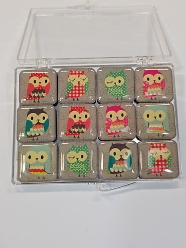 Owl Fridge Magnets Set of 12