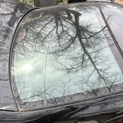 1999-2003 BMW rear Window Windshield Glass No Cracks Used Oem