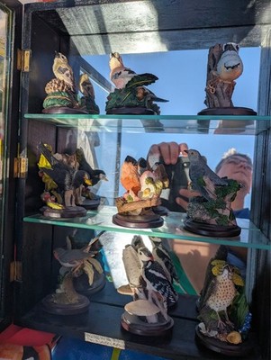 Konvolut 8x Eaglemoss  Unsere schöne Vogelwelt Collection  Figuren   Andy Pearce