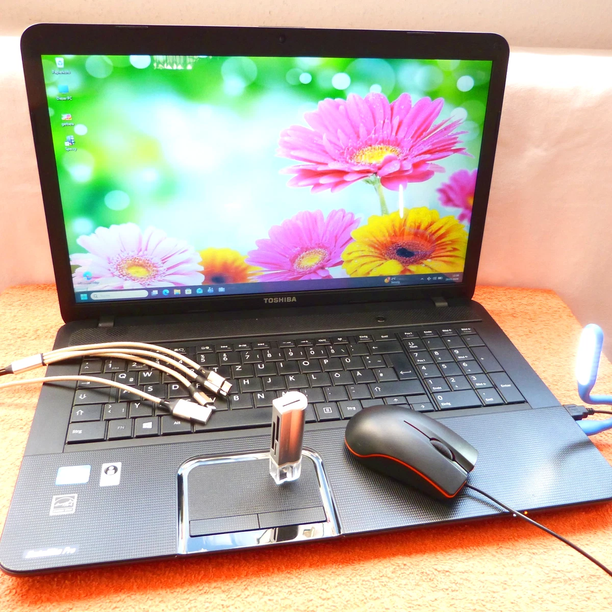 Dalle LCD 17.3 Pouces WXGA HD+ LED Brillante Pour Toshiba Satellite Satellite Pro C870d