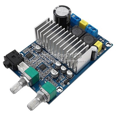 1x TPA3116 DC12-24V 100W Mono Channel Bass Audio Speaker Digital Amplifier Board