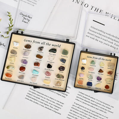 Rock Collection Natural Rocks and Minerals Education Set Educational