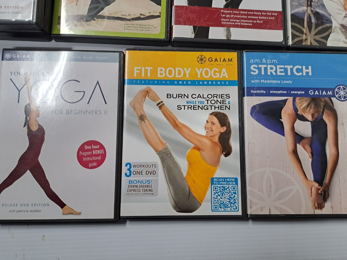 その他 Daily Yoga [DVD] [Import] 9 - Gaiam yoga workout DVD lot David-Dorian Ross, Suzanne