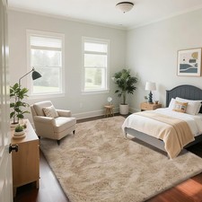 Fluffy Rug Shaggy Area Rug, Beige 8x10 Area Rugs for Living Room, Large Shag Are