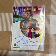 2025 Topps Universe Autographs Joe Gacy RAW Autograph Hologram Card