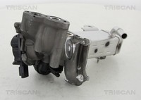 Triscan AGR Ventil 8813 16014 FüR Kuga Ford Fiat MAX Focus Peugeot CitroËN 2 DM2
