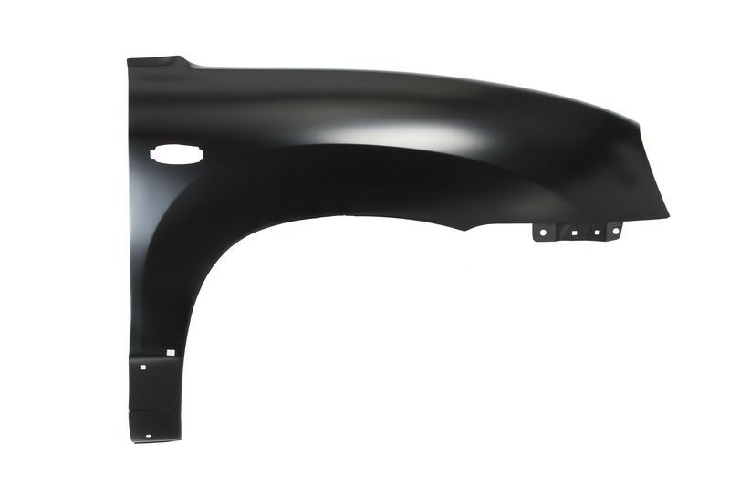 Front Right Fender Fits: HYUNDAI SANTA FÉ 02.01-03.06